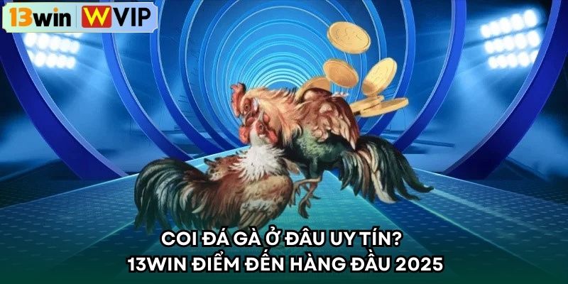 Coi Đá Gà Ở Đâu Uy Tín? – 13WIN Điểm Đến Hàng Đầu 2025