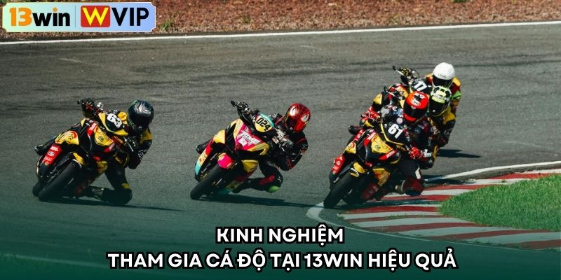 Kinh nghiệm tham gia cá độ tại 13WIN hiệu quả