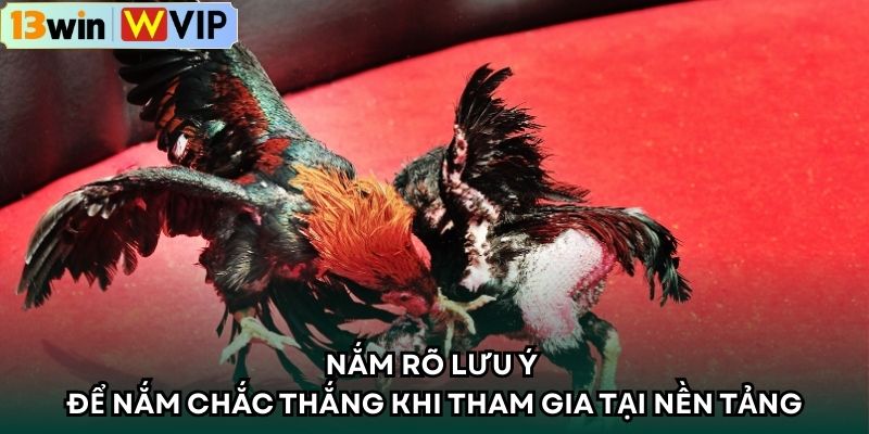 Nắm rõ lưu ý để nắm chắc thắng khi tham gia tại nền tảng