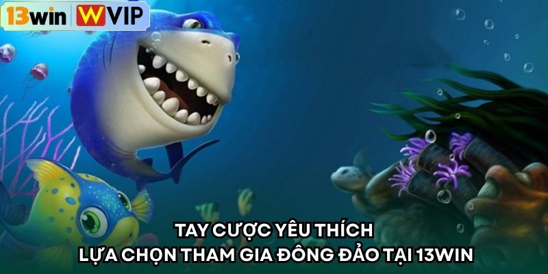 Tay cược yêu thích lựa chọn tham gia đông đảo tại 13WIN